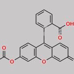 O-Mono Acetyl Fluorescein CAS#: 1104-16-1