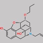 O-Propyl Naloxone Enolether CAS#: N/A