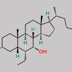 Obeticholic Acid CAS#: 459789-99-2
