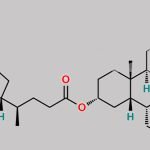 Obeticholic Acid Dimer CAS#: 1908444-28-9