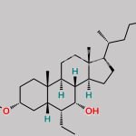 Obeticholic Acid Hydroxy Ester Impurity CAS#: 2365472-79-1