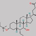Obeticholic Acid Impurity 13 CAS#: 1922968-40-8