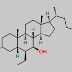 Obeticholic Acid Impurity 2 CAS#: 1708092-13-0