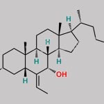Obeticholic Acid Impurity 4 CAS#: 1885104-64-2