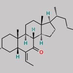 Obeticholic Acid Impurity 5 CAS#: 915038-24-3