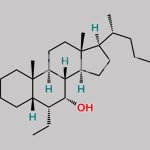Obeticholic Acid Impurity 6 CAS#: 459789-98-1