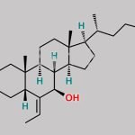 Obeticholic Acid Impurity 8 CAS#: 2241488-19-5