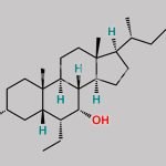 Obeticholic Acid Impurity 9 CAS#: 2055651-18-6