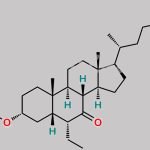 Obeticholic Acid Keto Ester  Impurity CAS#: 2365472-77-9