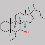 Obeticholic Acid Methyl Ester CAS#: 951694-73-8