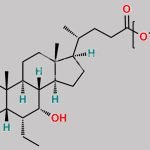 Obeticholic Acid-[PEG]-n-Ester CAS#: N/A