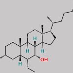 Obeticholic Acid Triol Impurity CAS#: 1537866-49-1