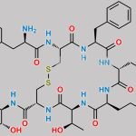 Octreotide EP Impurity F CAS#: N/A
