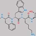 Octreotide Impurity 1 CAS#: 205652-45-5