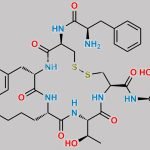 Octreotide Impurity 4 CAS#: N/A