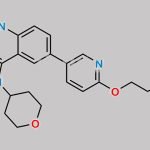 Olaparib Impurity 36 CAS#: 1821428-35-6