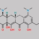 Omadacycline CAS#: 389139-89-3