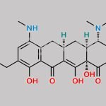 Omadacycline Impurity 1 CAS#: 2272886-38-9