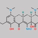 Omadacycline Impurity 10 CAS#: 2272886-39-0