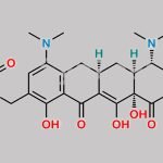 Omadacycline Impurity 6 CAS#: 2272886-37-8