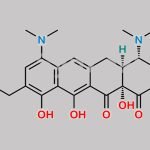 Omadacycline Impurity 7 CAS#: 2272886-35-6