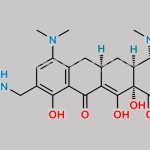 Omadacycline Impurity 8 CAS#: 2272886-34-5