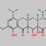 Dihydro Omadacycline Impurity CAS#: 2272886-40-3
