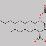 Orlistat Open Ring Epimer CAS#: 130793-28-1