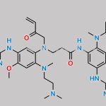 Osimertinib Dimer Impurity 2 CAS#: N/A