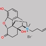 Oxymorphone Butenylbromide CAS#: N/A