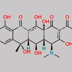 Oxytetracycline EP Impurity C CAS#: 7647-65-6