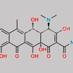 Oxytetracycline EP Impurity F(4-Epimer) CAS#: N/A