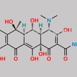 Oxytetracycline Hydrochloride CAS#: 2058-46-0