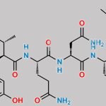 Oxytocin A CAS#: N/A