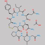 Oxytocin Acetate CAS#: 6233-83-6