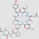 Oxytocin Impurity 8 CAS#: N/A