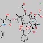 Paclitaxel 7-Troc Paclitaxel CAS#: 114915-17-2