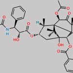 Paclitaxel-8-Hydro-Bicyclo(3.3.0)octane CAS#: 146139-03-9