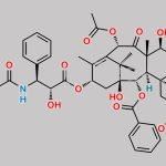 Paclitaxel Derivative C CAS#: 135393-42-9