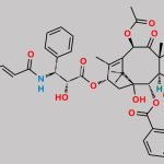 Paclitaxel EP Impurity O CAS#: 219783-77-4