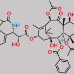 Paclitaxel Impurity 1 CAS#: 206866-02-6