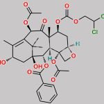 Paclitaxel Impurity 13 CAS#: N/A