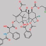 Paclitaxel Impurity 14 CAS#: 1236402-73-5
