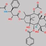Paclitaxel Impurity 2 CAS#: 489459-83-8