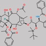 Paclitaxel Impurity 24 CAS#: 211732-86-4