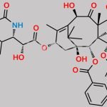 Paclitaxel Impurity 28 CAS#: 173101-59-2