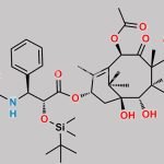 Paclitaxel Impurity 38 CAS#: 160768-75-2