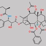 Paclitaxel Impurity 4 CAS#: 159001-24-8
