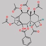 Paclitaxel Impurity 6 CAS#: 57672-79-4