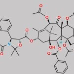 Paclitaxel Impurity 69 CAS#: 143527-71-3